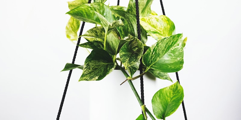 世界杯赛场全景 - 座无虚席的体育场与中央的绿色草坪